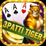 3 Patti Tiger App Icon